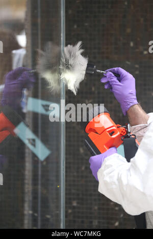 Close-up de l'agent de police de mains porter des gants de poudre pour les empreintes digitales Banque D'Images