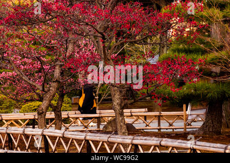 De jeunes moines marchent rapidement vers le temple budist de Chishaku sur le gong rung à Kyoto, au Japon. Banque D'Images