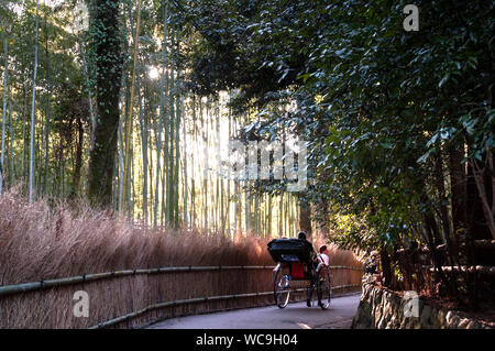 Forêt de bambous Arashiyama à Kyoto, Japon. Banque D'Images