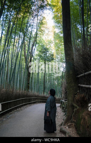 Forêt de bambous Arashiyama à Kyoto, Japon. Banque D'Images