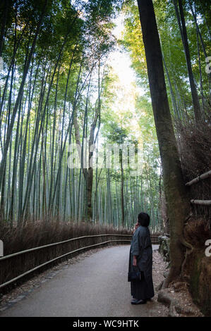 Grande forêt de bambous Arashiyama à Kyoto, Japon. Banque D'Images