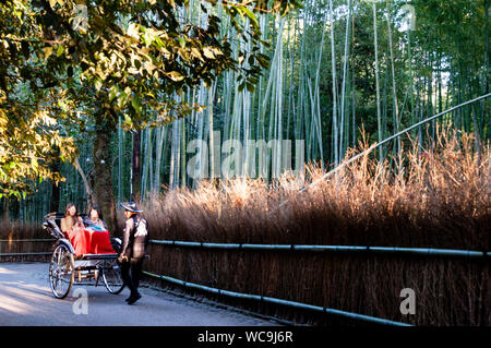 La forêt de bambous Arashiyama de Kyoto, Japon. Un gouvernement japonais a reconnu le paysage sonore. Banque D'Images