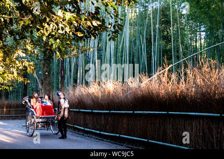 La forêt de bambous Arashiyama de Kyoto, Japon. Un paysage sonore reconnu par le gouvernement. Banque D'Images