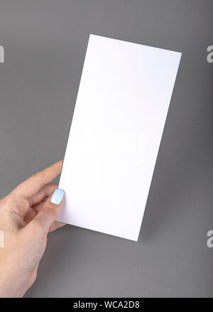 Une femme holding white brochure. Modèle d'identité Banque D'Images