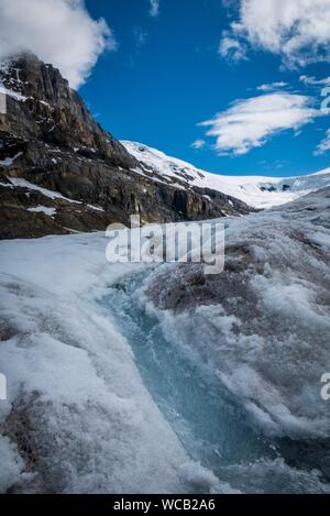 L'écoulement glaciaire du glacier Athabasca dans le Parc National de Jasper, Canada. Banque D'Images