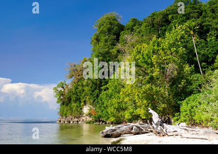 Croisière iles dans le golfe de Tomini dans le Sulawesi central. Les la plupart des populat'destination de plongée en Indonésie, Banque D'Images