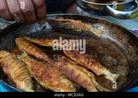 La cuisson du poisson frit dans une casserole. close-up cuisine de camping. Banque D'Images