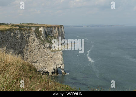 Un paysage de falaises de Bempton, où des milliers d'oiseaux de mer nichent sur les falaises. Banque D'Images