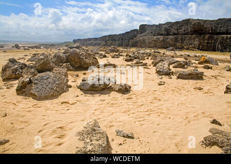 Paysage désertique à Washington Slagbaai National Park, STINAPA, Bonaire, Antilles néerlandaises Banque D'Images