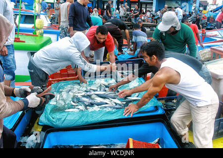 Meulaboh, Aceh, Indonésie. Août 25, 2019. Trier les pêcheurs du poisson pour la vente à l'Meulaboh fish market.marchés traditionnels tels que Meulaboh aide les gens de la classe moyenne du marché, la plupart des marchandises vendues il y a de la masse du peuple d'Aceh, allant des fruits, légumes et même les prises de la communauté. Credit : Nurul Fahmi SOPA/Images/ZUMA/Alamy Fil Live News Banque D'Images
