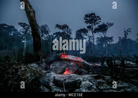 L'Amazonas, Brésil. Août 26, 2019. Photo prise le 26 août 2019 montre les débris après l'incendie de Manicore, l'état d'Amazonas, au Brésil. Brésil (Gabriela Biro/Agencia Estado/document via Xinhua) Credit : Xinhua/Alamy Live News Banque D'Images