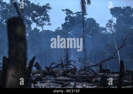 L'Amazonas, Brésil. Août 26, 2019. Photo prise le 26 août 2019 montre les débris après l'incendie de Manicore, l'état d'Amazonas, au Brésil. Brésil (Gabriela Biro/Agencia Estado/document via Xinhua) Credit : Xinhua/Alamy Live News Banque D'Images