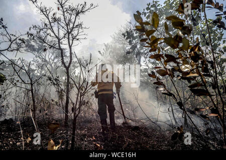 L'Amazonas, Brésil. Août 26, 2019. Un travailleur de l'Institut brésilien de l'environnement et des ressources naturelles renouvelables combat un incendie dans Manicore, l'état d'Amazonas, Brésil le 26 août 2019. Brésil (Gabriela Biro/Agencia Estado/document via Xinhua) Credit : Xinhua/Alamy Live News Banque D'Images