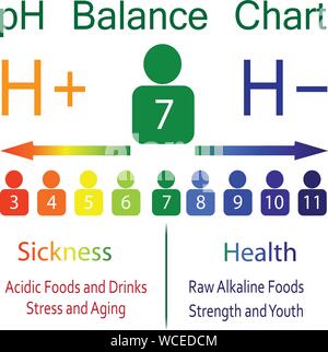 Niveau pH Ballance échelle des cartes montrant la maladie et la santé dans l'organisme humain des infographies vectorielles Illustration de Vecteur