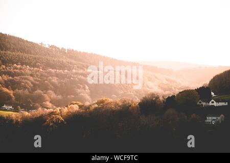 Belle photo d'arbres bruns et de verdure sur les collines et montagnes dans la campagne au coucher du soleil Banque D'Images