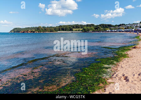 Broadsands Beach près de Paignton et Torquay, Devon, Angleterre. Banque D'Images