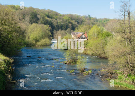 Cadre en bois situé dans un bois sur les rives de la rivière teme, Ludlow UK. Avril 2019 Banque D'Images