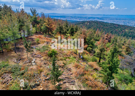 Vue aérienne de la déforestation des conifères dans la forêt de banlieue de Thessalonique Banque D'Images