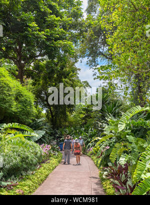 Chemin à travers le National Orchid Garden, jardins botaniques de Singapour, Singapour Banque D'Images