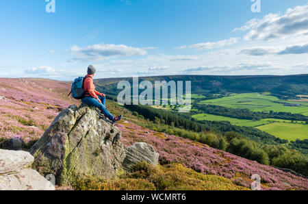 Female hiker sur le Cleveland Way National Trail près de Kildale ...