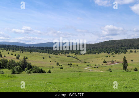 Vue paysage dans le Parc National de Sumava - Forêt de Bohême - Ancien village Zhuri Banque D'Images