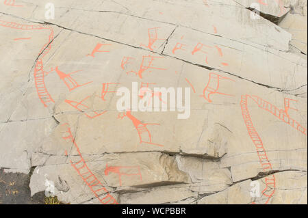 L'art rupestre dans le fjord d'Alta, Norvège. D'anciens symboles, du vrai dessin, la texture de la pierre. Peinture à l'ocre rouge. Les droits de chasse sur les animaux de Virginie. Groupe de pétroglyphes, Banque D'Images