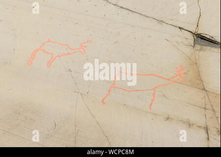 L'art rupestre dans le fjord d'Alta, Norvège. D'anciens symboles, du vrai dessin, la texture de la pierre. Peinture à l'ocre rouge. Les droits de chasse sur les animaux de Virginie. Groupe de pétroglyphes, Banque D'Images