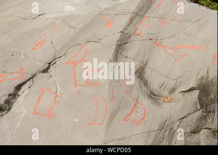 L'art rupestre dans le fjord d'Alta, Norvège. D'anciens symboles, du vrai dessin, la texture de la pierre. Peinture à l'ocre rouge. Les droits de chasse sur les animaux de Virginie. Groupe de pétroglyphes, Banque D'Images