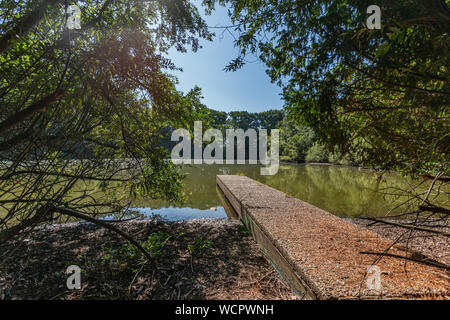 Petite jetée en bois sur un lac entouré par les arbres qui se reflètent dans l'eau, incroyable et paisible journée d'été dans les Pays-Bas Hollande Banque D'Images