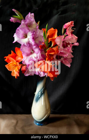 Bouquet d'belle et lumineuse couleur du glaïeul dans un vase sur fond sombre Banque D'Images