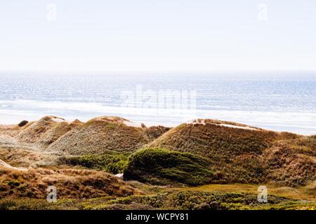 Gros plan de petites masses couvertes de mousses par le eau Banque D'Images