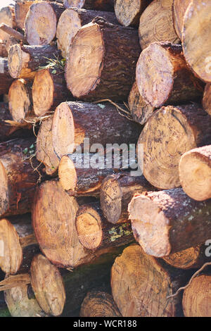 De nombreux journaux en remplissant le cadre Banque D'Images