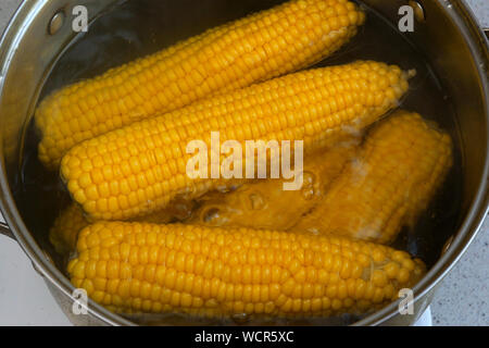 Le maïs jaune juteux lumineux, qui est bouilli dans l'eau bouillante sur la cuisinière de près. Les jeunes délicieux maïs sucre doux. L'été des légumes sains avec vit Banque D'Images