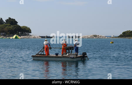 Vrsar, Croatie. Les hommes la préparation des filets de pêche Banque D'Images