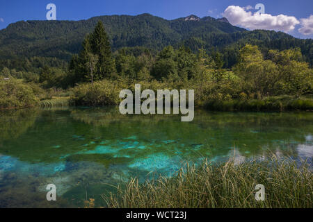 Vue imprenable sur le lac Zelenci en Slovénie, Europe Banque D'Images