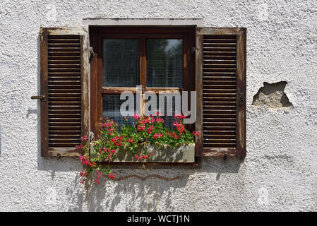 Old weathered fenêtre d'une vieille ferme à la campagne entourée d'ancienne façade avec l'effritement du plâtre et une boîte avec des géraniums en face de l'w Banque D'Images