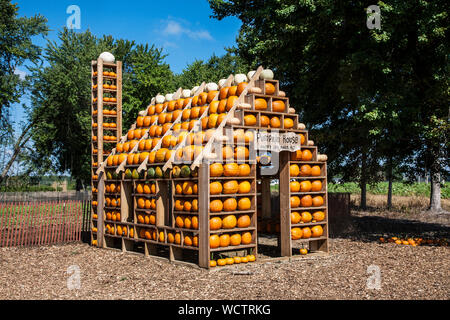 Potiron House sur une ferme à Manalapan, New Jersey, NJ, USA exposition de décoration d'Halloween Banque D'Images