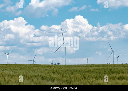 Wind power station dans le champ. Parc éolien sur l'arrière-plan de nuages orageux dans un champ de blé. Développement de la production d'énergie propre. Vent vert pow Banque D'Images