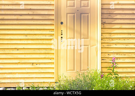 Le mur et la porte de la chambre sont de couleur jaune. De belles fleurs et l'herbe de pousser près de la maison. Le soleil illumine la chambre. Banque D'Images