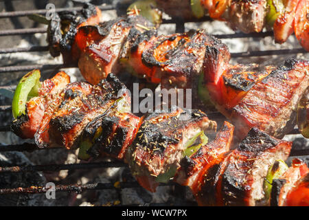 Brochettes de boeuf grillées sur le rack d'un barbecue en été Banque D'Images