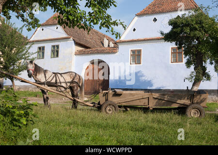 Un cheval est attelé à un chariot en bois sur la place du village de Viscri, Transylvanie, Roumanie Banque D'Images