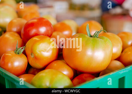 Caisse de tomates fraîchement cueillies dans un éventaire routier produire stand. Banque D'Images