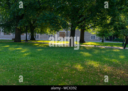 Au cours de l'été, Toronto, transforme en une multitude de parcs verdoyants. La ville a beaucoup de verdure et de détente. Banque D'Images