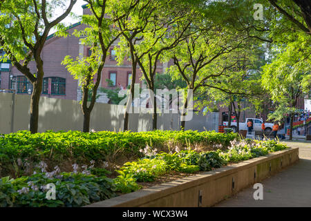 Au cours de l'été, Toronto, transforme en une multitude de parcs verdoyants. La ville a beaucoup de verdure et de détente. Banque D'Images