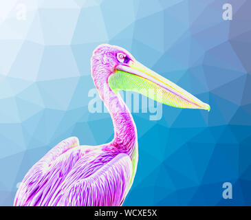 Oiseau Pelican coloré Illustration - l'art surréaliste Banque D'Images