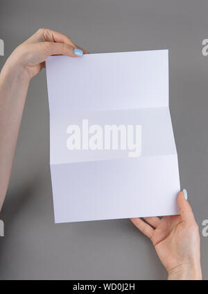 Une femme holding white brochure. Modèle d'identité Banque D'Images