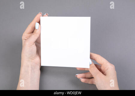 Une femme holding white brochure. Modèle d'identité Banque D'Images