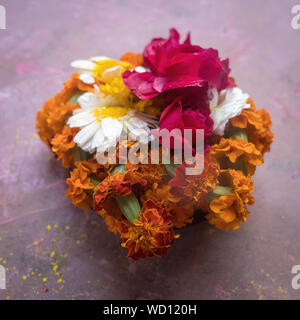 Fleurs Puja offrant pendant Holi Célébration, Mathura, Uttar Pradesh, Inde, Asie Banque D'Images