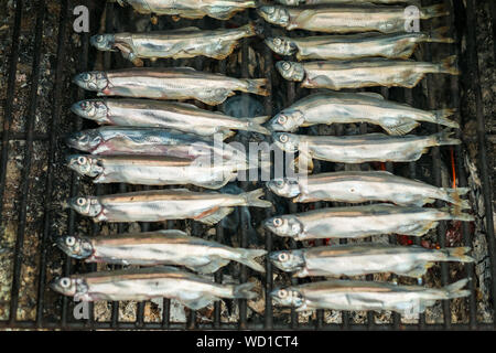 Le Capelan (Mallotus villosus), plusieurs petits poissons sur le grill Banque D'Images