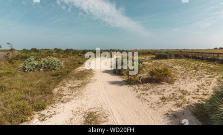 Smyrna Dunes Park. Un parc de conservation avec des dunes de sable, scrub et passerelles surélevées. Banque D'Images